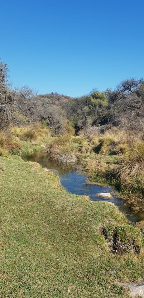 Terreno en Venta