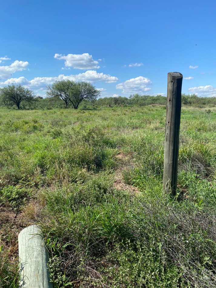 VENTA DE TERRENO RUTA NACIONAL 146