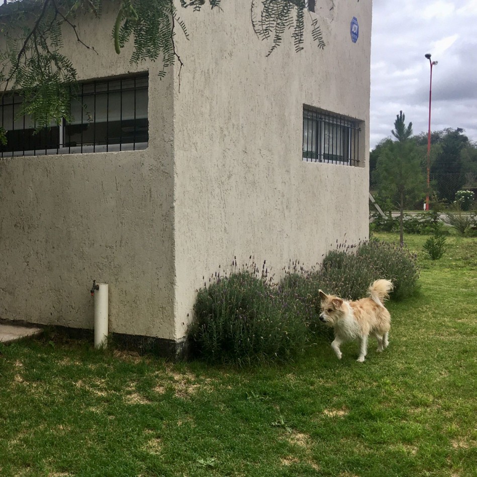 VENTA CASA BARRANCAS DE KOSLAY SOBRE AUTOPISTA LOS PUQUIOS, SAN LUIS