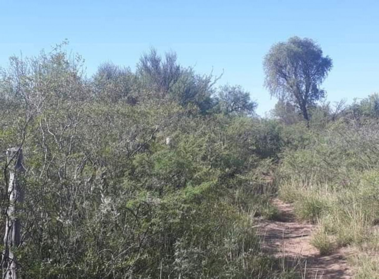 venta de campo, ubicado en " EL QUEBRACHO" 