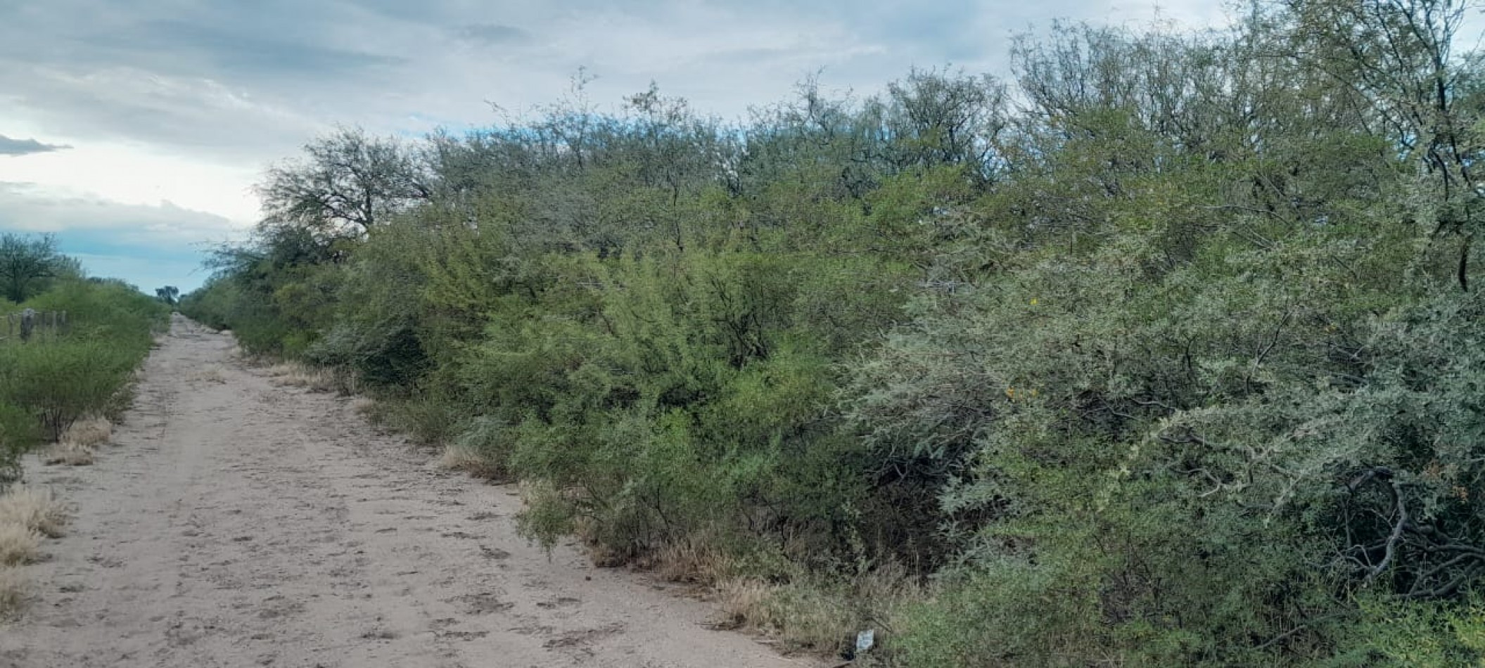 venta de campo, ubicado en " EL QUEBRACHO" 