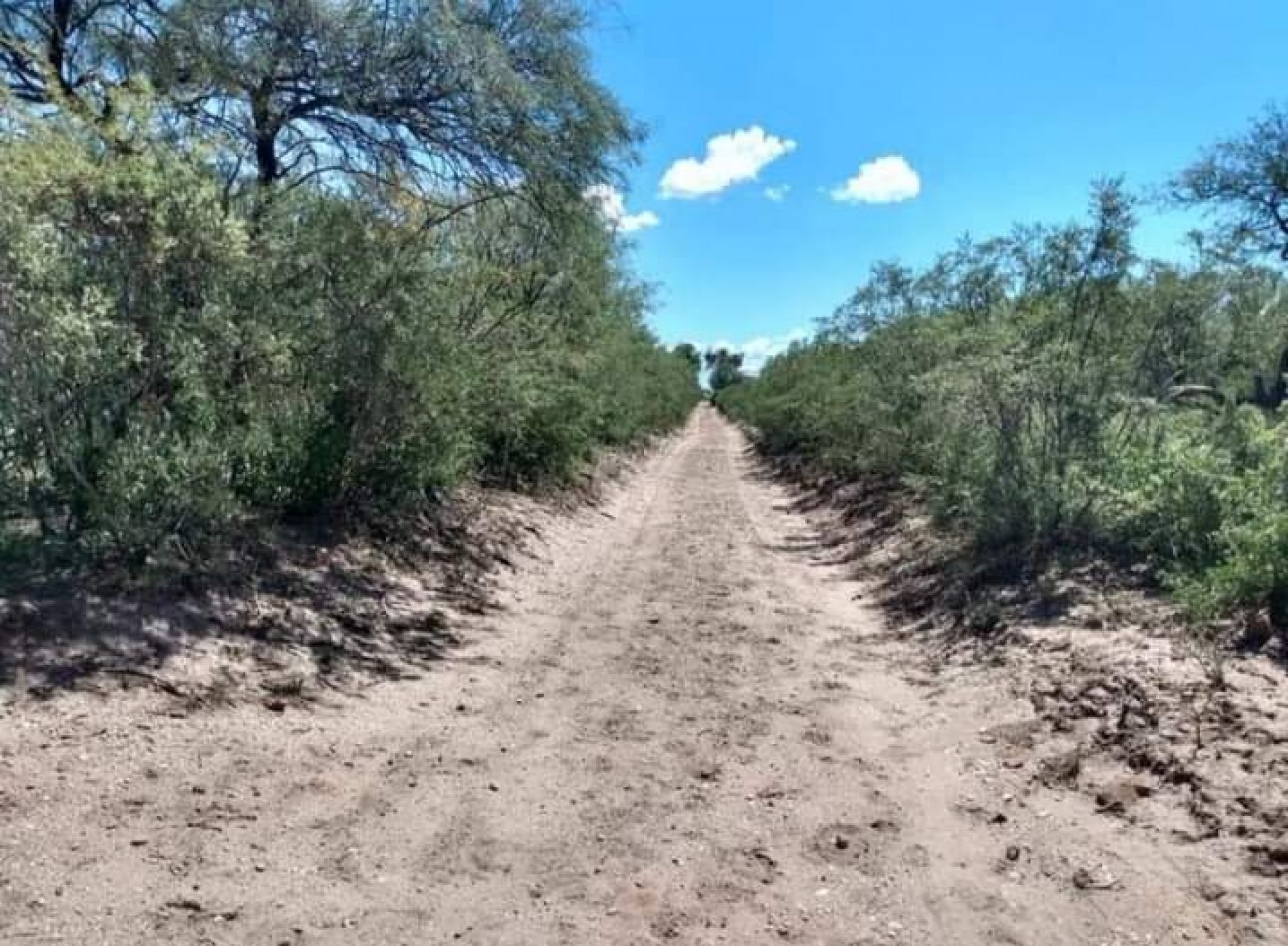 venta de campo, ubicado en " EL QUEBRACHO" 