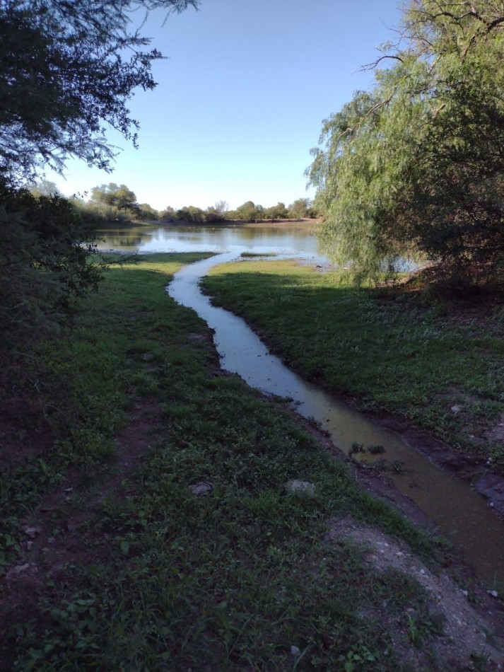 VENTA CAMPO DE MONTE , A 7 KM AL NORTE DE MANANTIALES ( EX VILLA GENERAL ROCA)