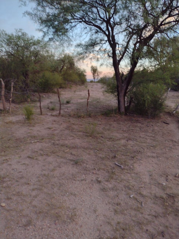 VENTA CAMPO DE MONTE , A 7 KM AL NORTE DE MANANTIALES ( EX VILLA GENERAL ROCA)