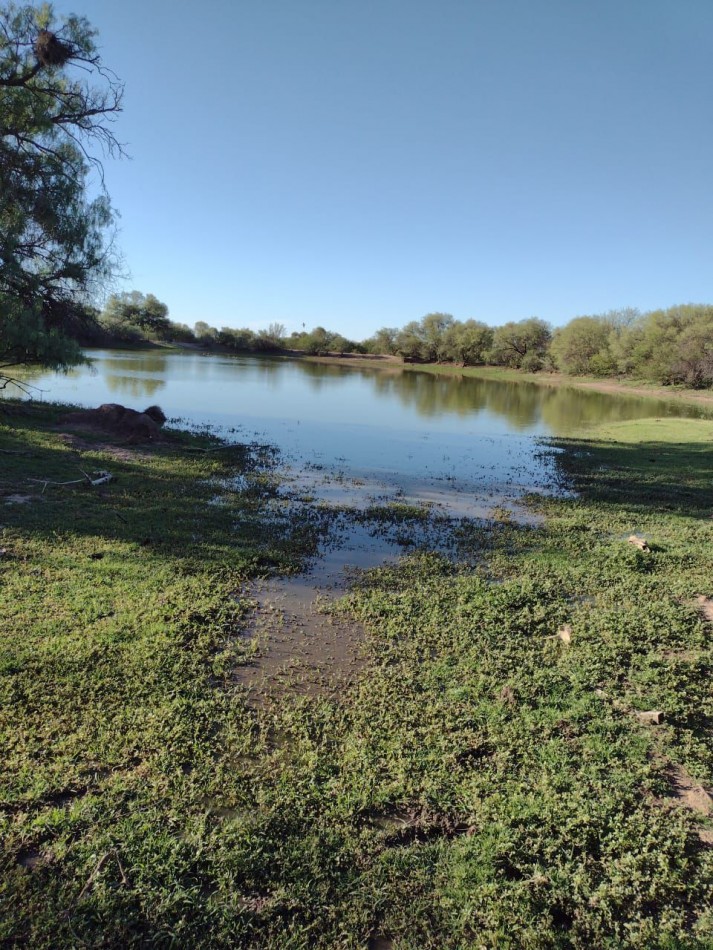 VENTA CAMPO DE MONTE , A 7 KM AL NORTE DE MANANTIALES ( EX VILLA GENERAL ROCA)