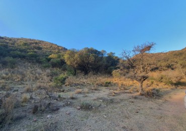 Venta de terrenos en la Salagria. Potrero de Los Funes.