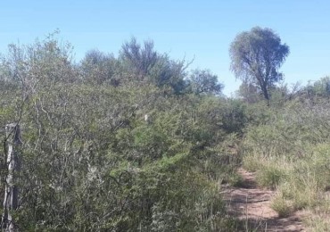 venta de campo, ubicado en " EL QUEBRACHO" 