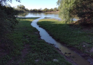 VENTA CAMPO DE MONTE , A 7 KM AL NORTE DE MANANTIALES ( EX VILLA GENERAL ROCA)
